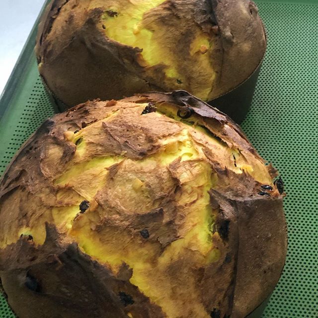 panettoni artigianali