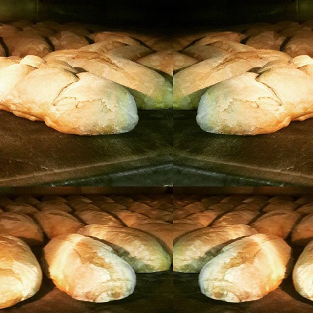 pagnotte appena sfornate
