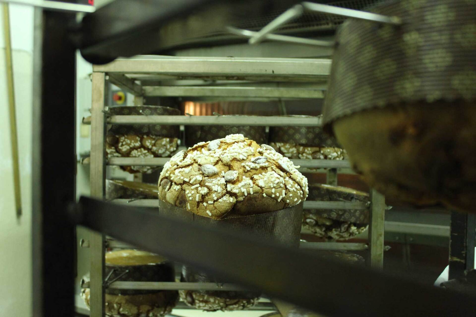 lievitazione panettoni