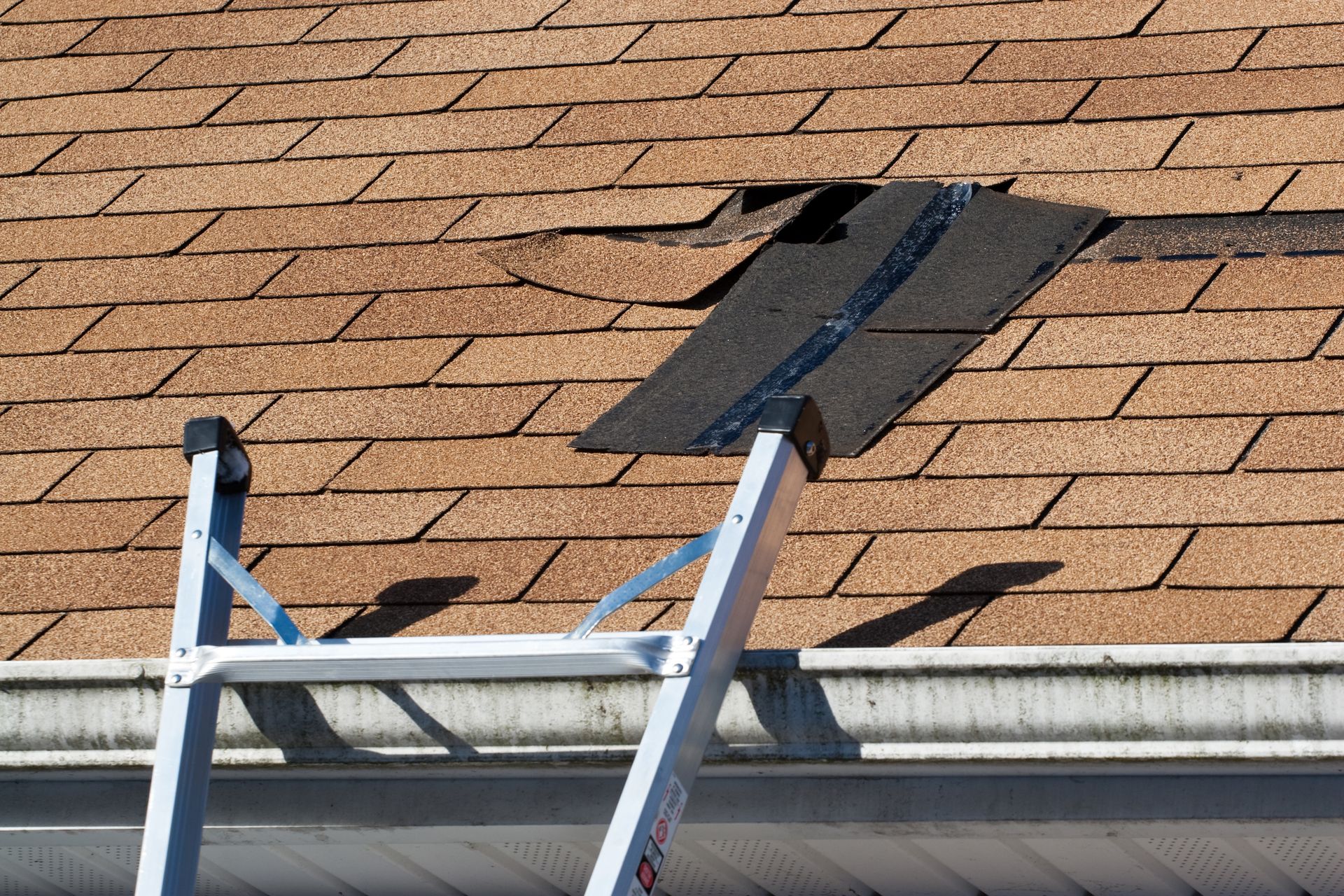 A ladder is sitting on top of a roof with a hole in it.