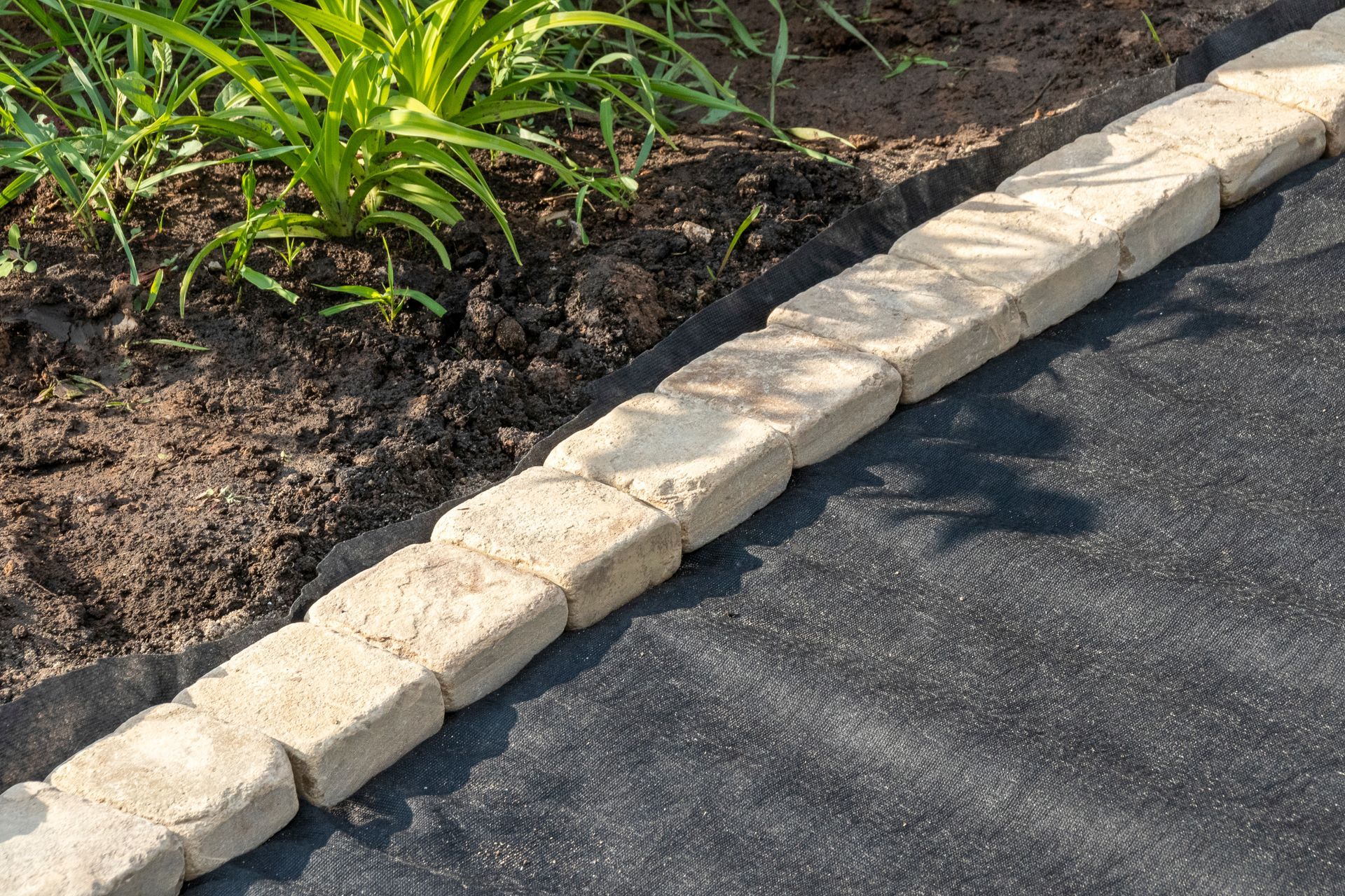 Stone border along a garden bed, with black fabric on the path and green plants.