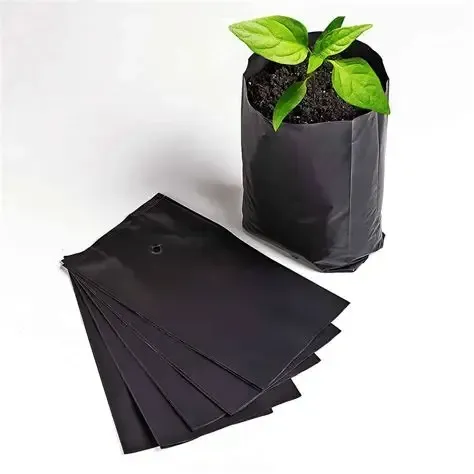 Hay tres macetas con plantas en ellas.