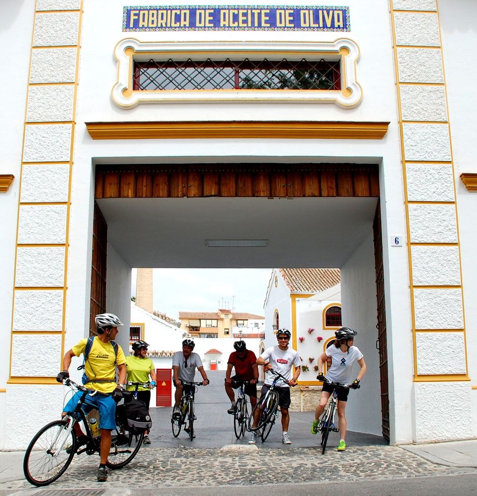 People riding bikes out of the Olive Oil Estatem Nuñez Do Prado in Baena