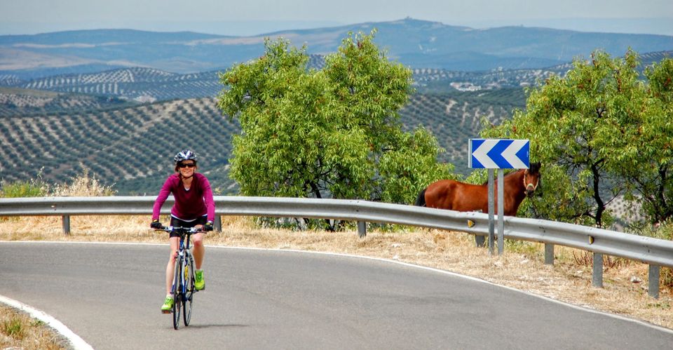 A lady rides a bike smiling with a field of olive trees in the background and a horse on the side of the road