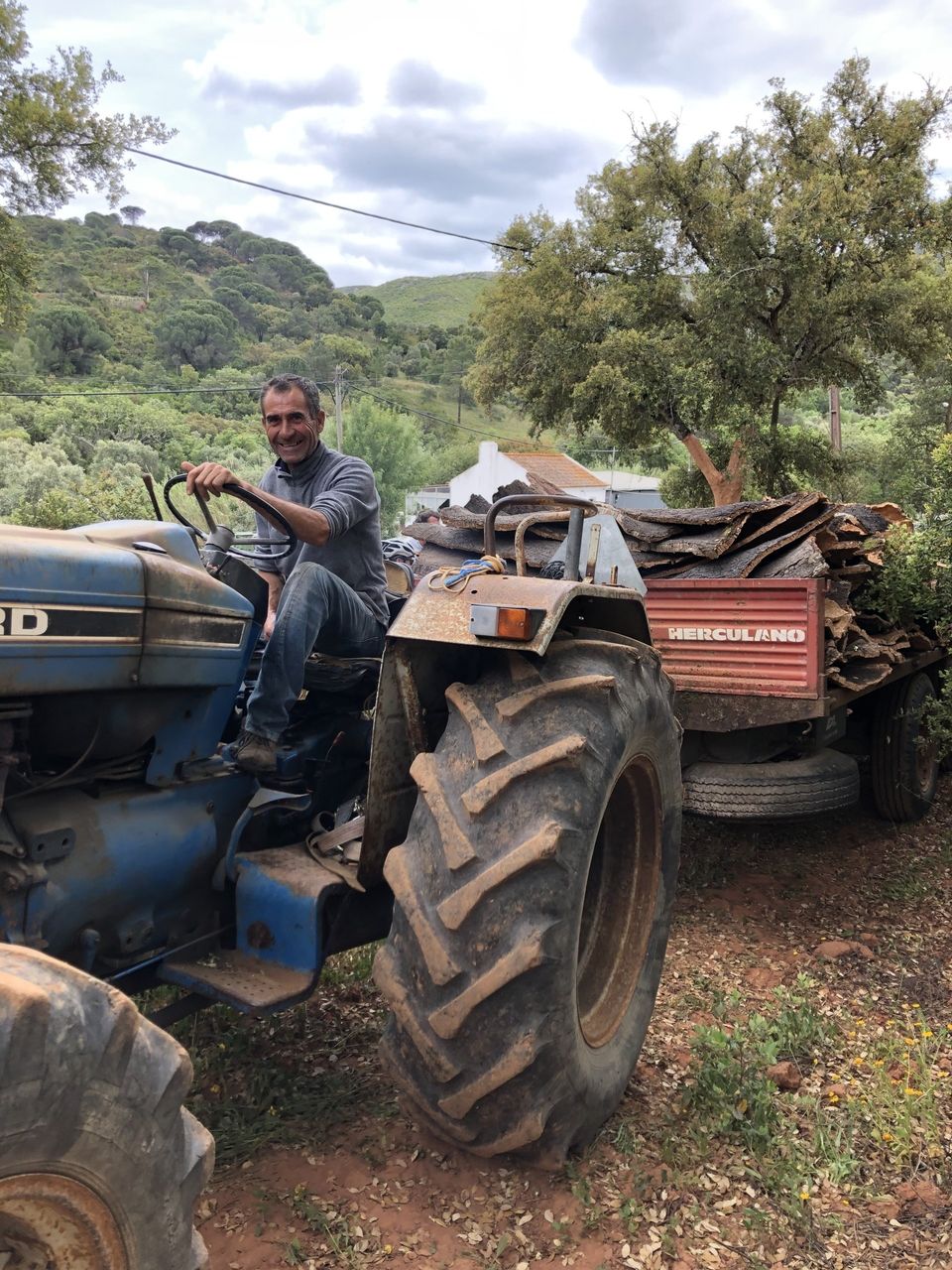 A cork farmer driving a tractor loaded with cork bark during the harvest
