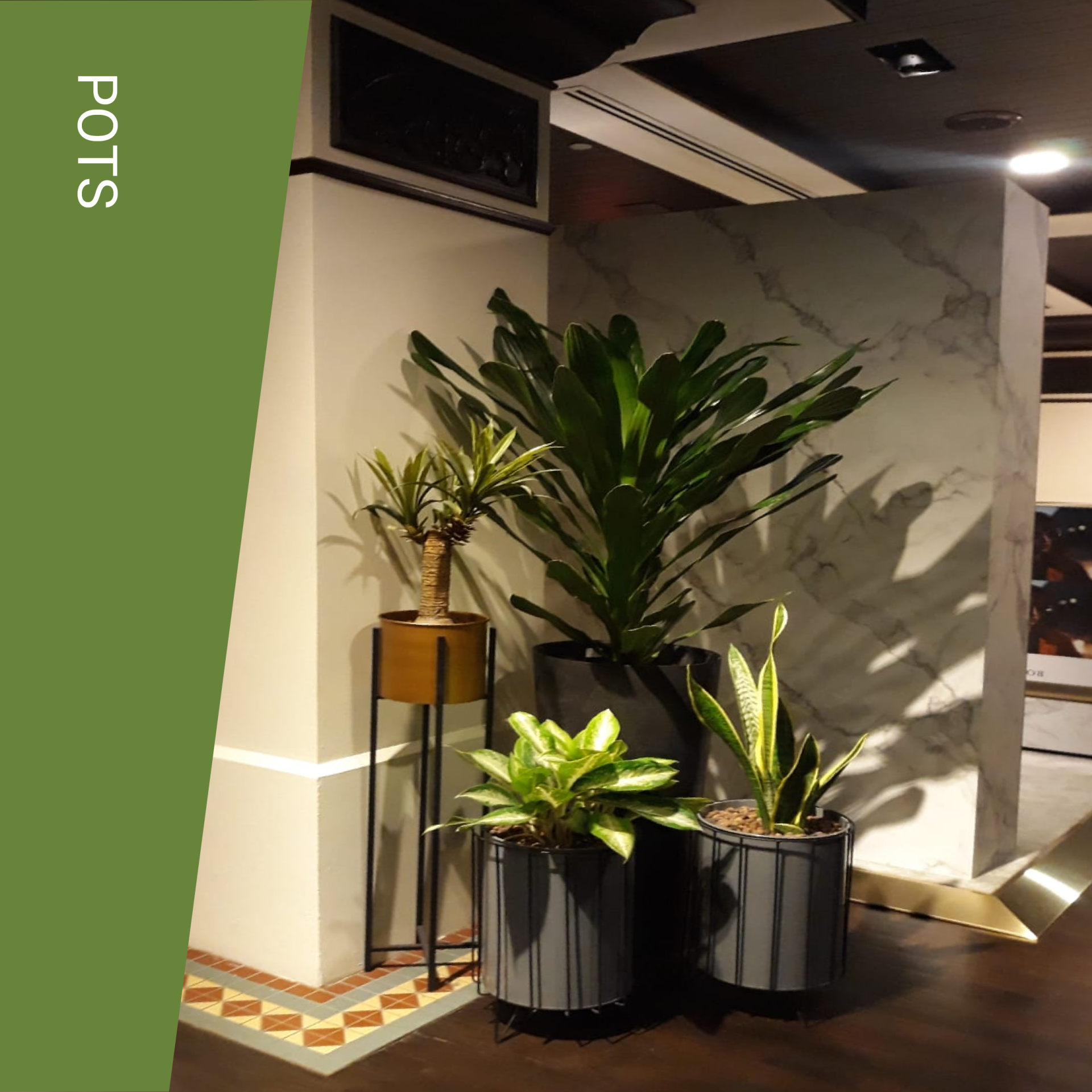 Nature Landscapes - Bringing Nature Closer to You