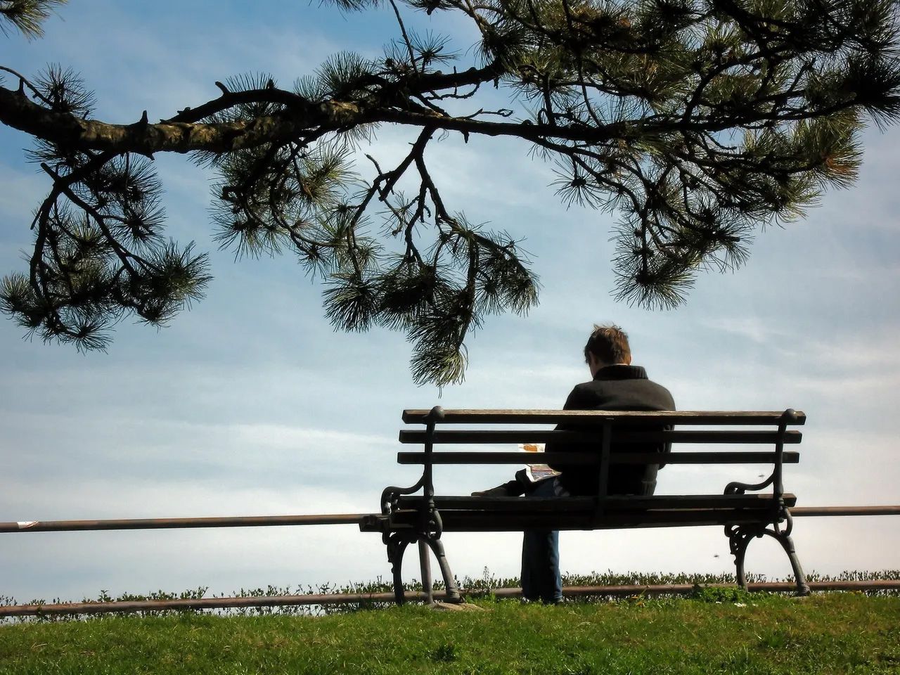 Man sits alone on a park bench under a tree, overlooking a grassy area and the sky.