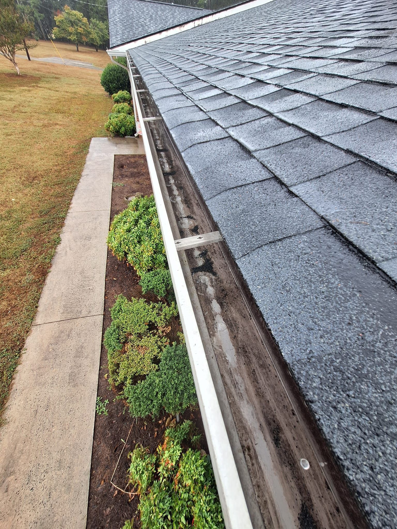 Gutter filled with debris along a roof edge, with plants below.