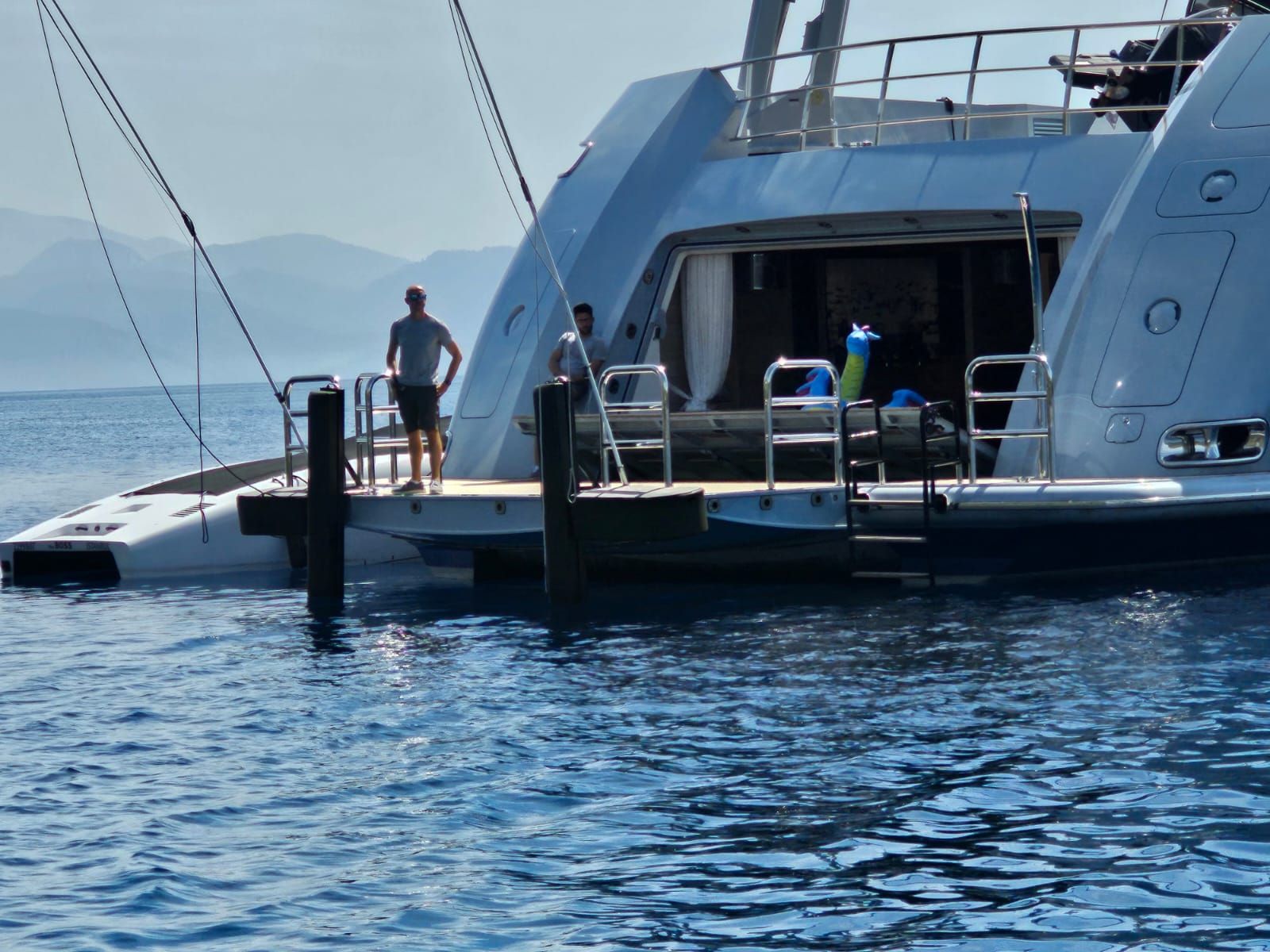 Whips & Vertical Fender