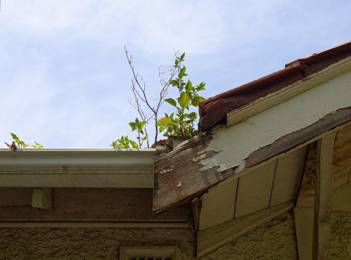 Peeling Paint ─ Mercer, PA ─ Gerlach’s Seamless Gutters & Home Improvements