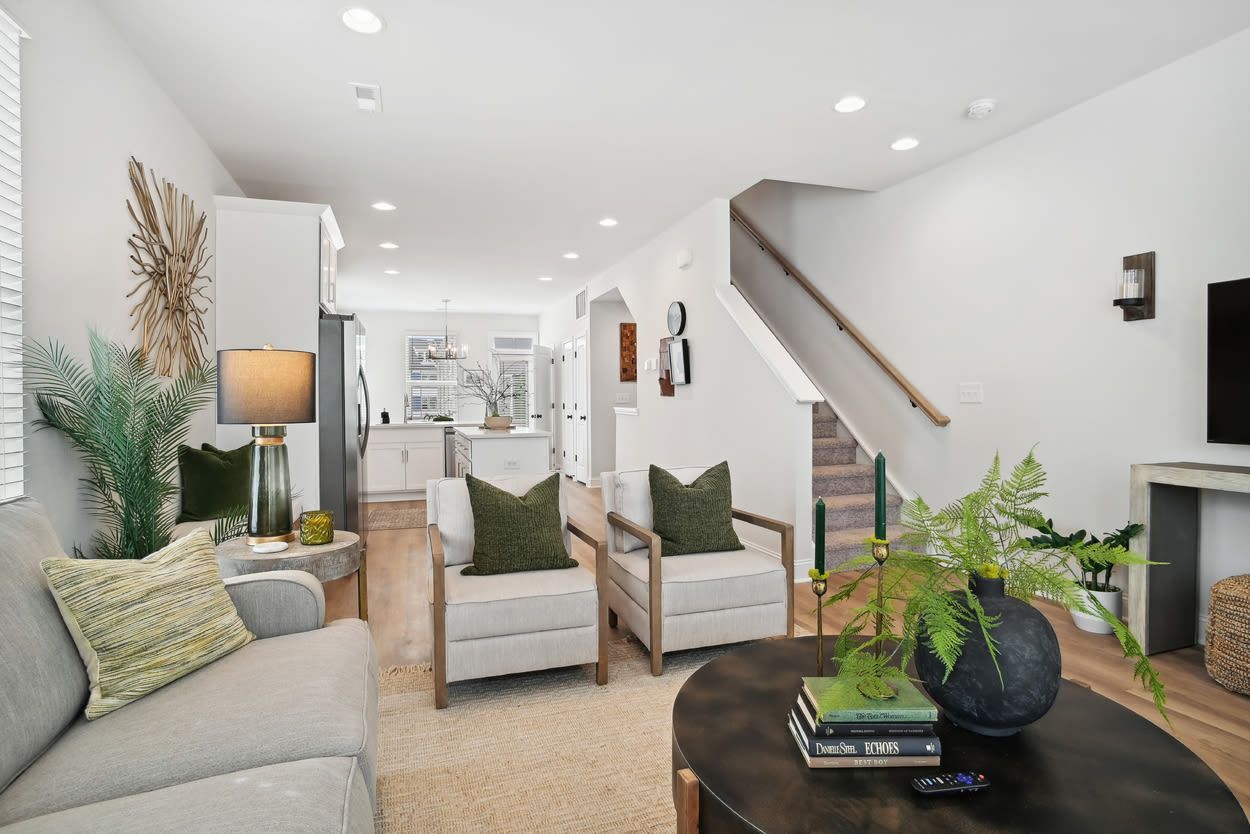 Close-up of a green palm leaf with ribbed texture, catching sunlight.