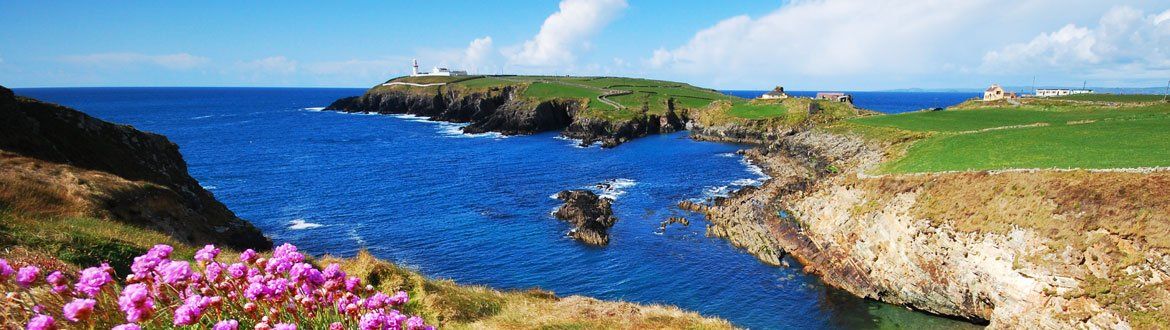 大型配送アイルランドの田園風景３ 自然、風景画