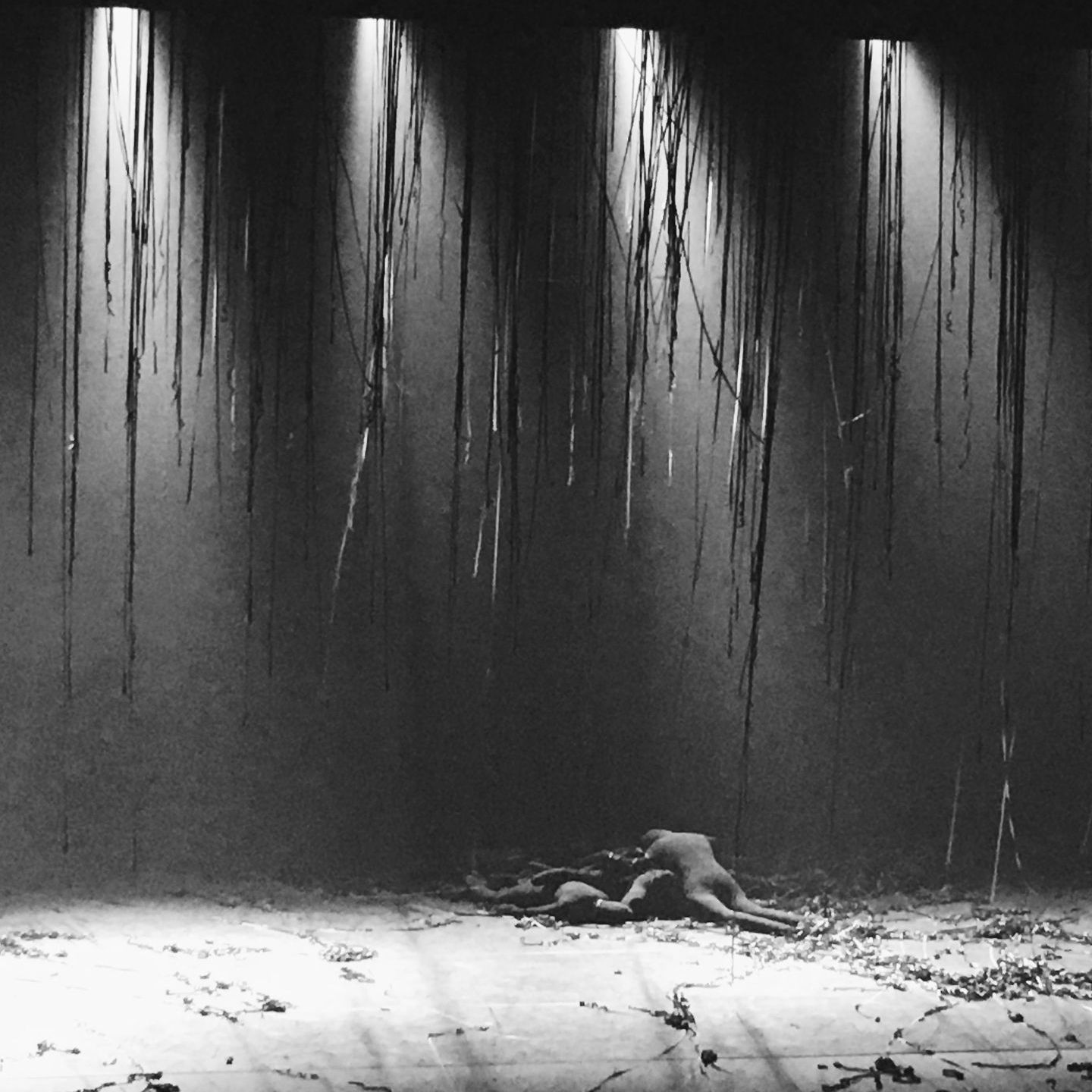 Juanjo Herrero Kursaal