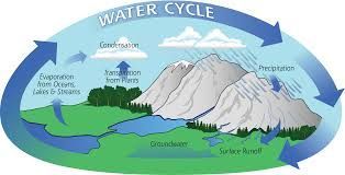 Water Cycle Diagram — Mesa, AZ — JB Water & Air