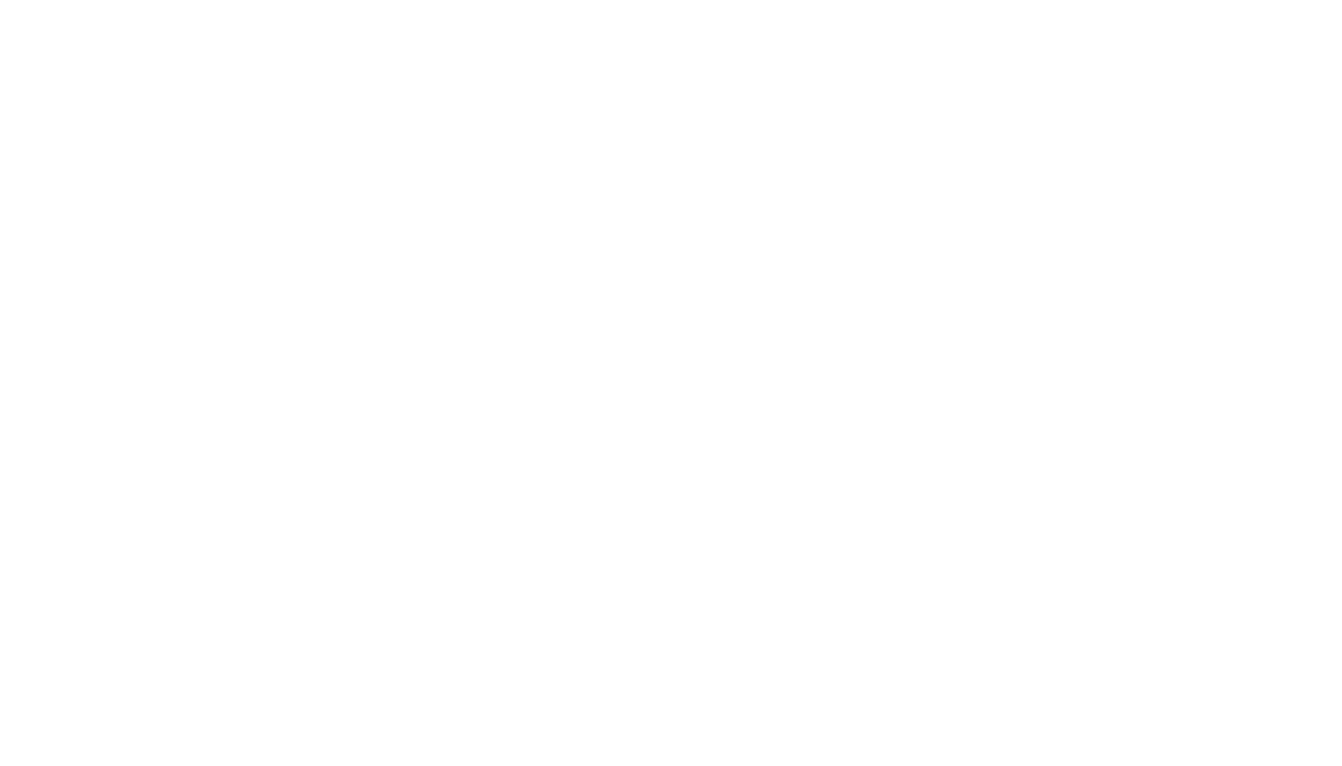 VIV logo