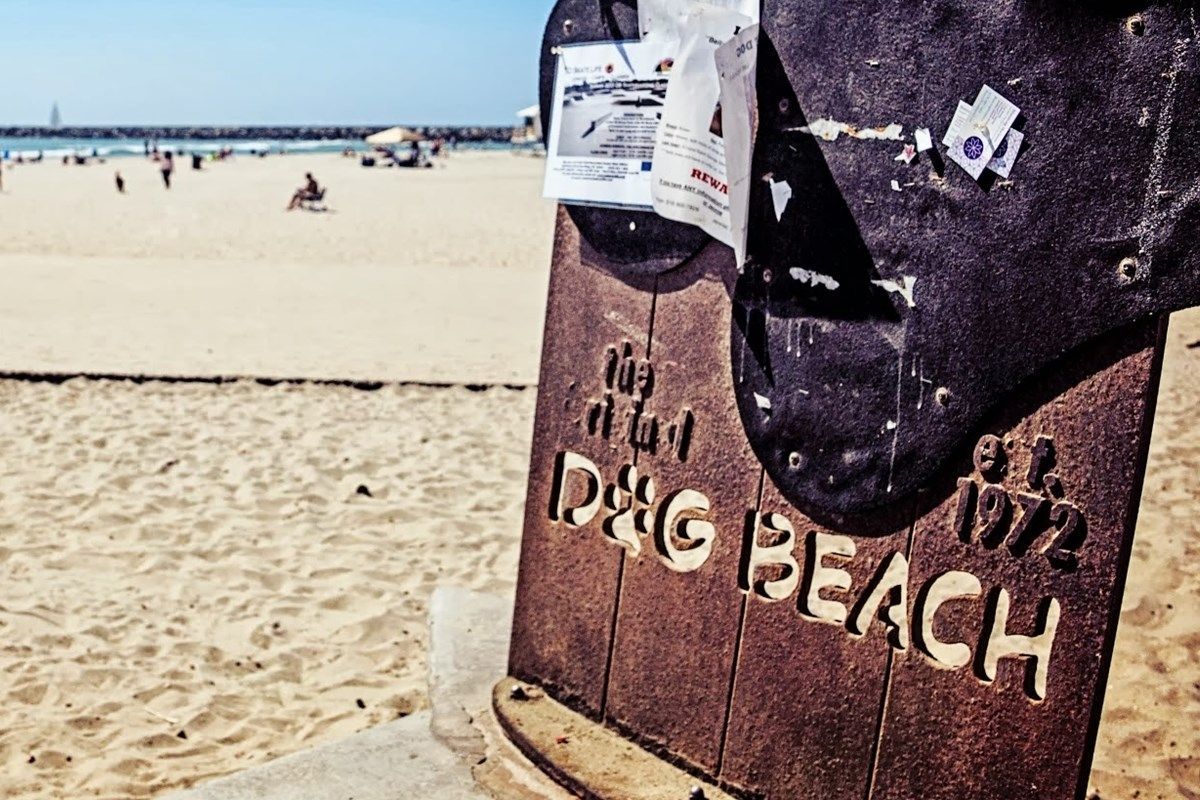 Sign for D&G Beach, 1972, with weathered details, at a sandy beach with blurred figures in the distance.