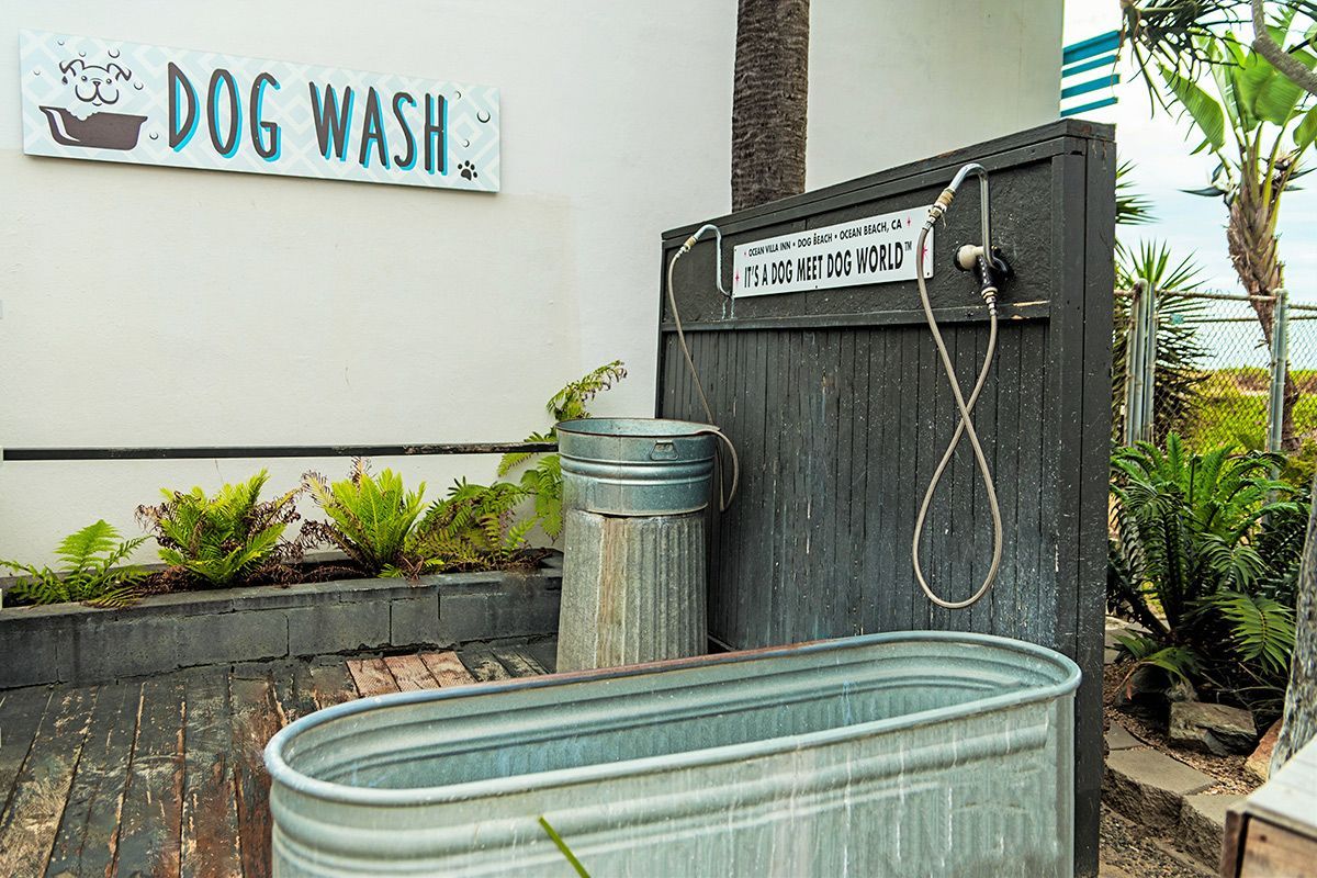 Dog wash station with a metal tub, showerhead, and sign.