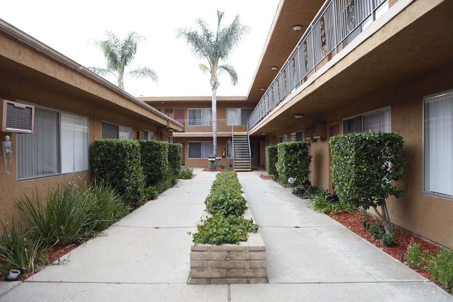 Apartment courtyard with walkways and landscaping between buildings with palm trees.