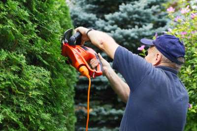 A landscaper works on some tree pruning
