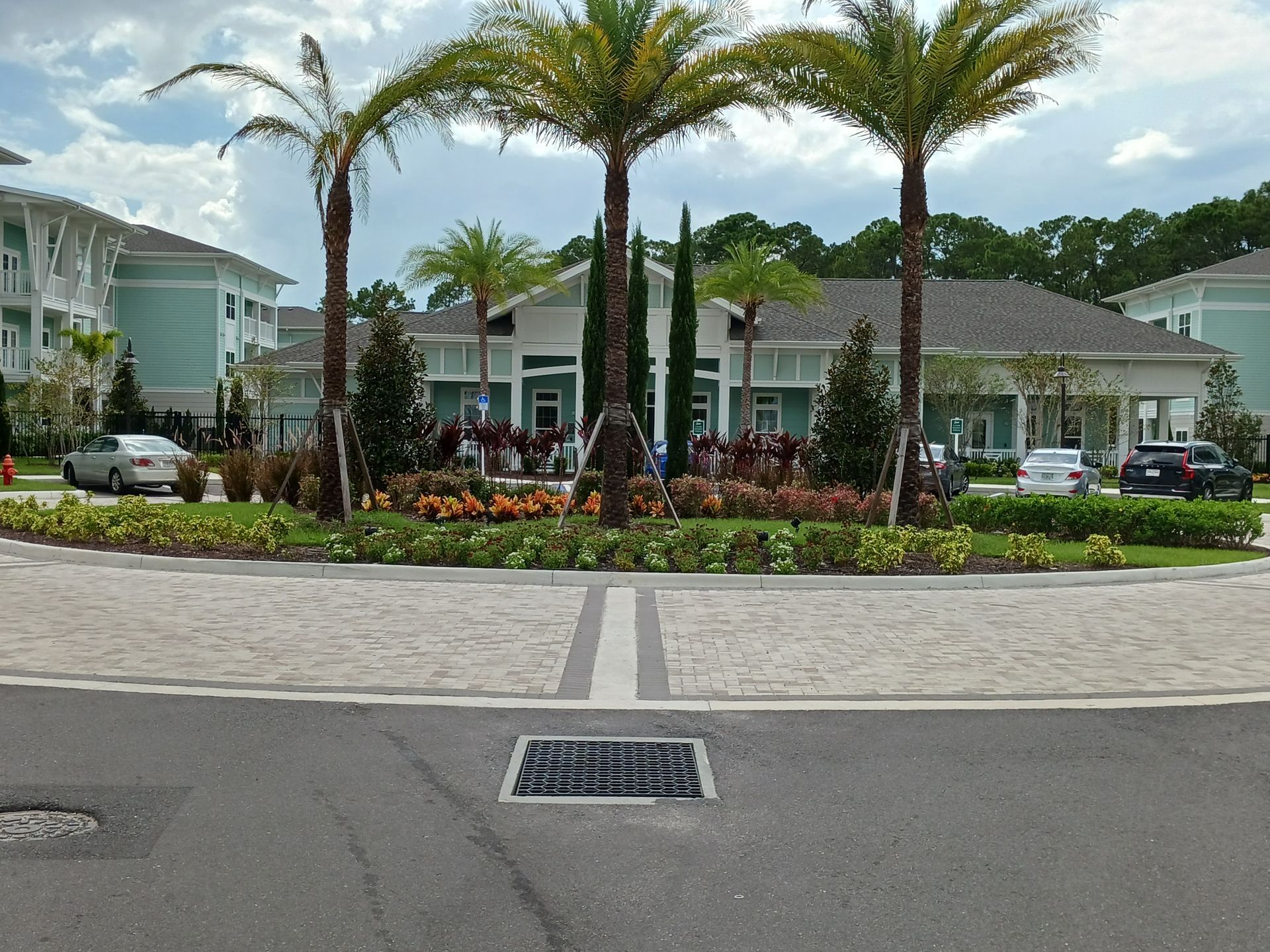 A group of palm trees in front of a building