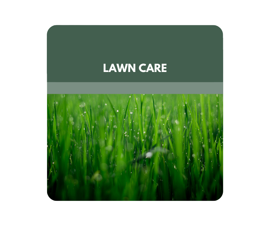 A person wearing a hat is pruning a plant.