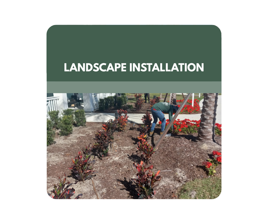 A group of people are standing in a park surrounded by trees and bushes.