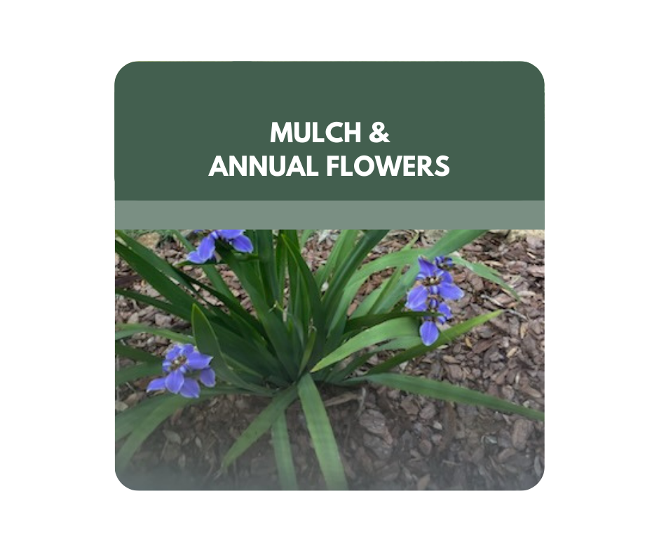 A brick wall with a bunch of pink flowers in front of it