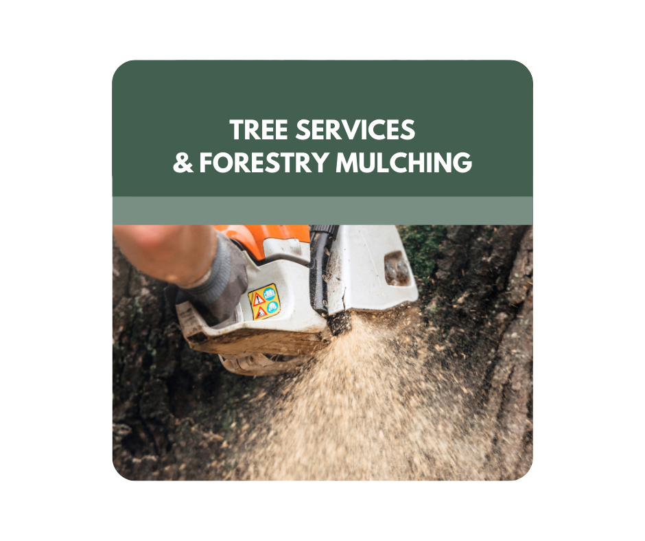 A man is cutting a tree with a pair of scissors.