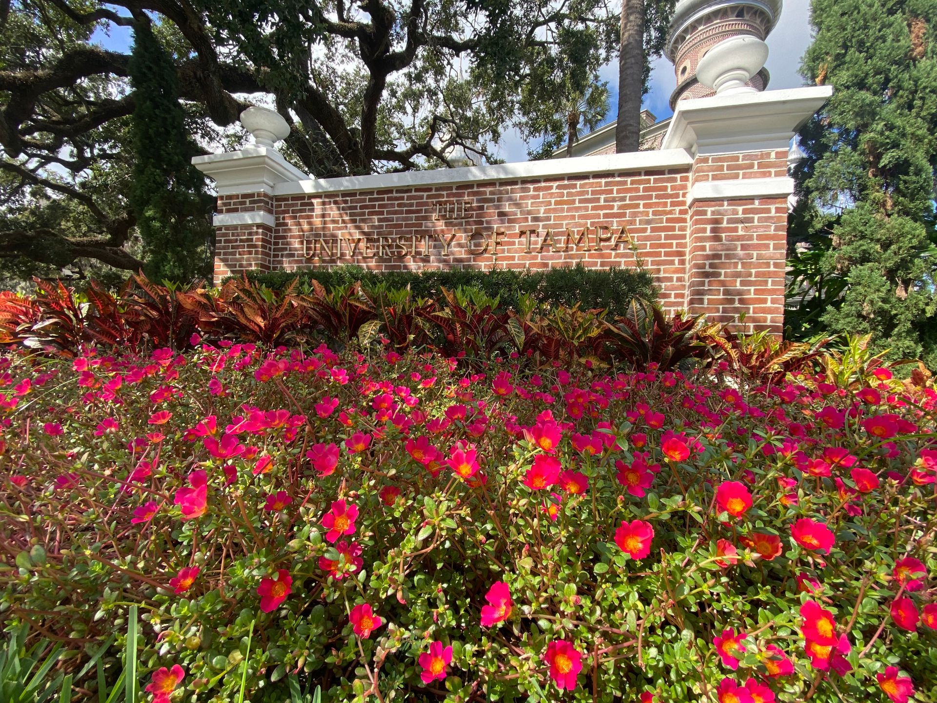 A brick wall with a bunch of pink flowers in front of it