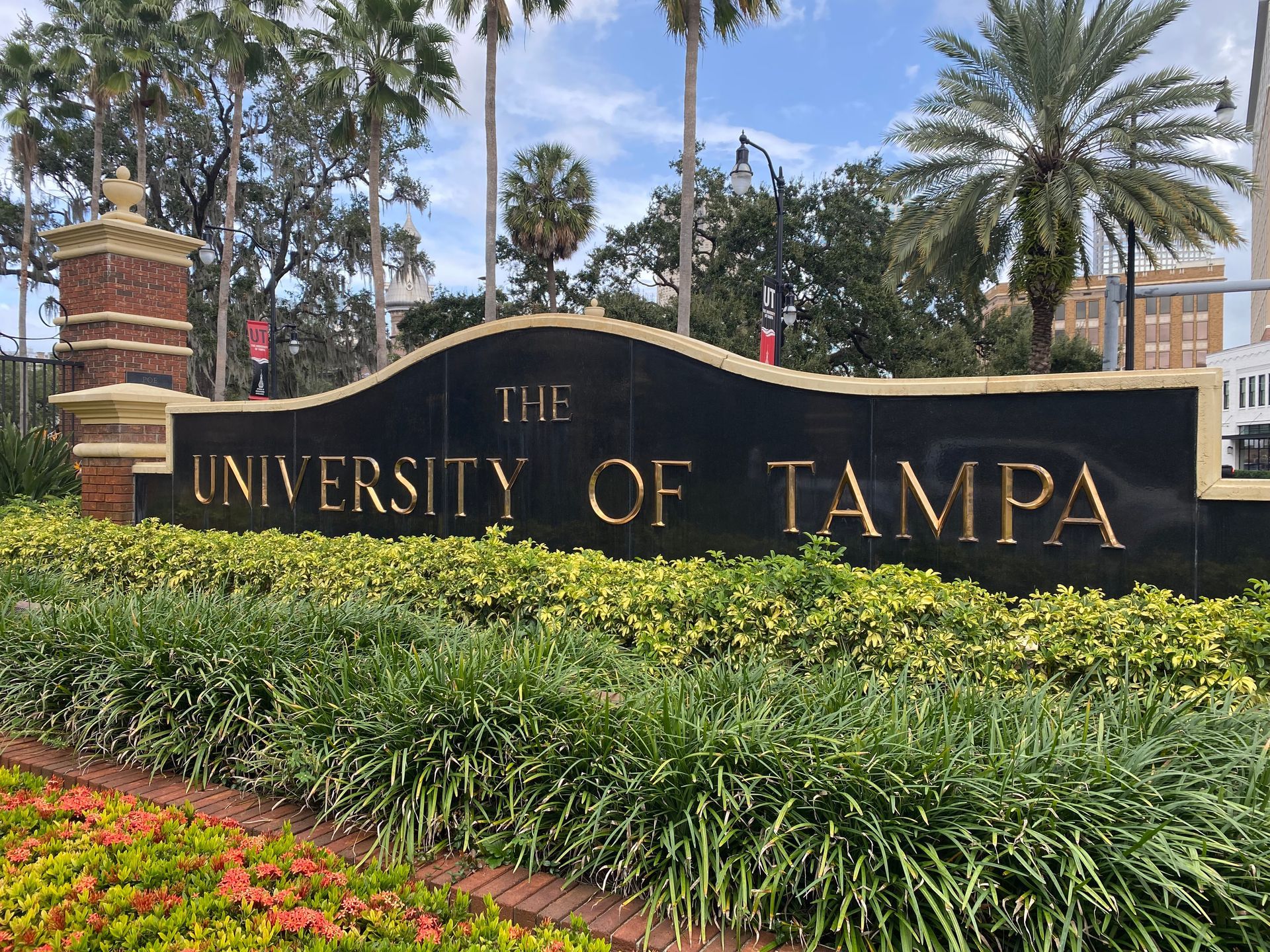 A sign for the university of tampa is surrounded by flowers and palm trees