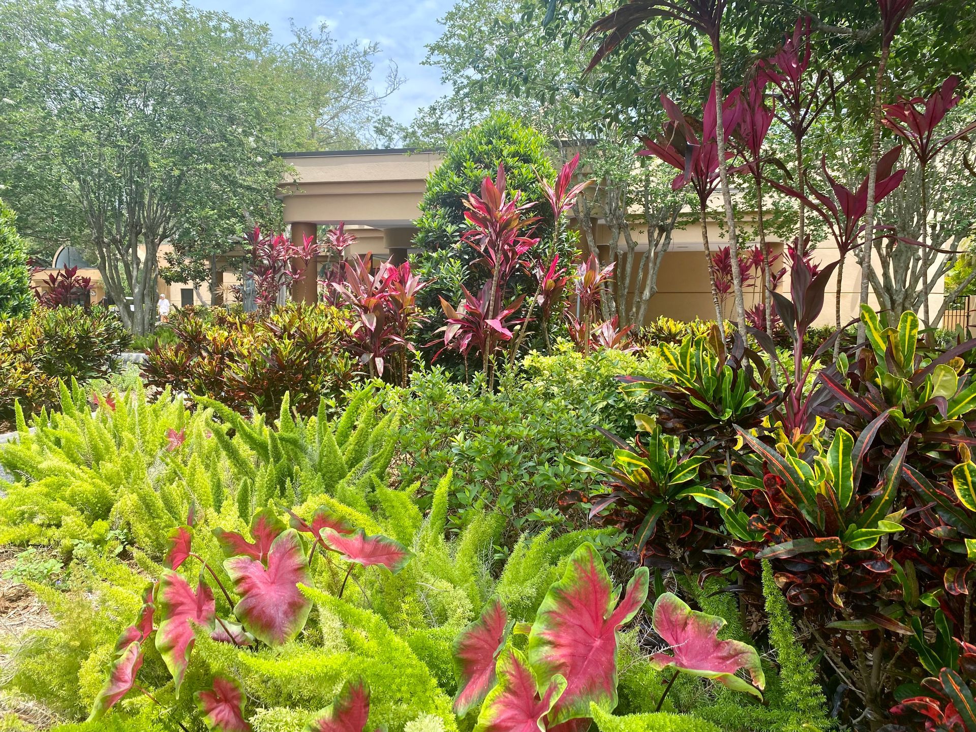 A garden filled with lots of different types of plants and trees.