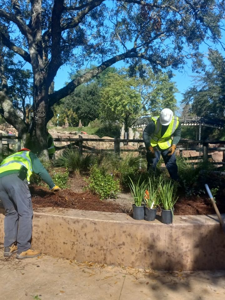 Two men are planting plants in a garden.-Crowders Landscaping