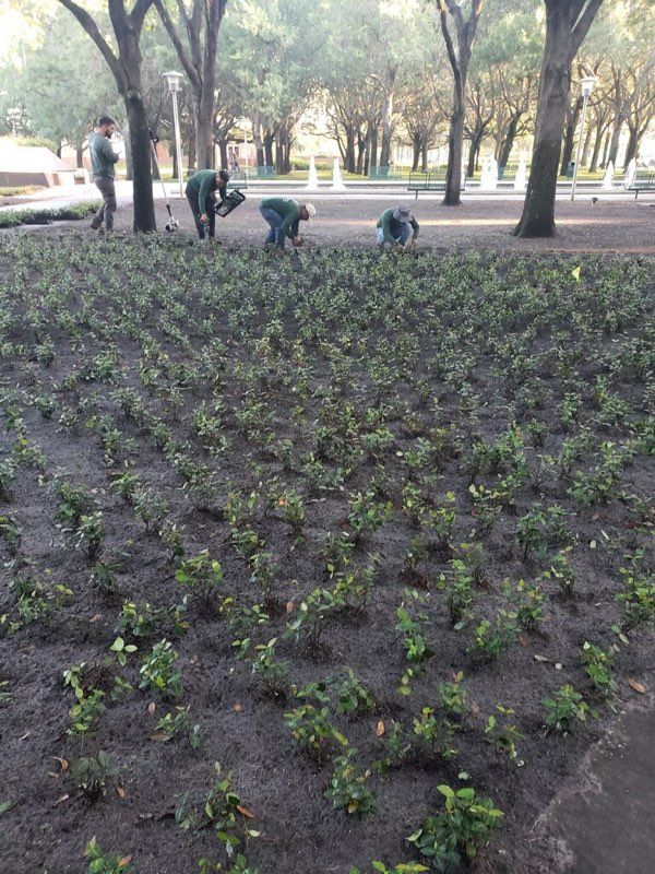 A group of people are working on a garden in a park.