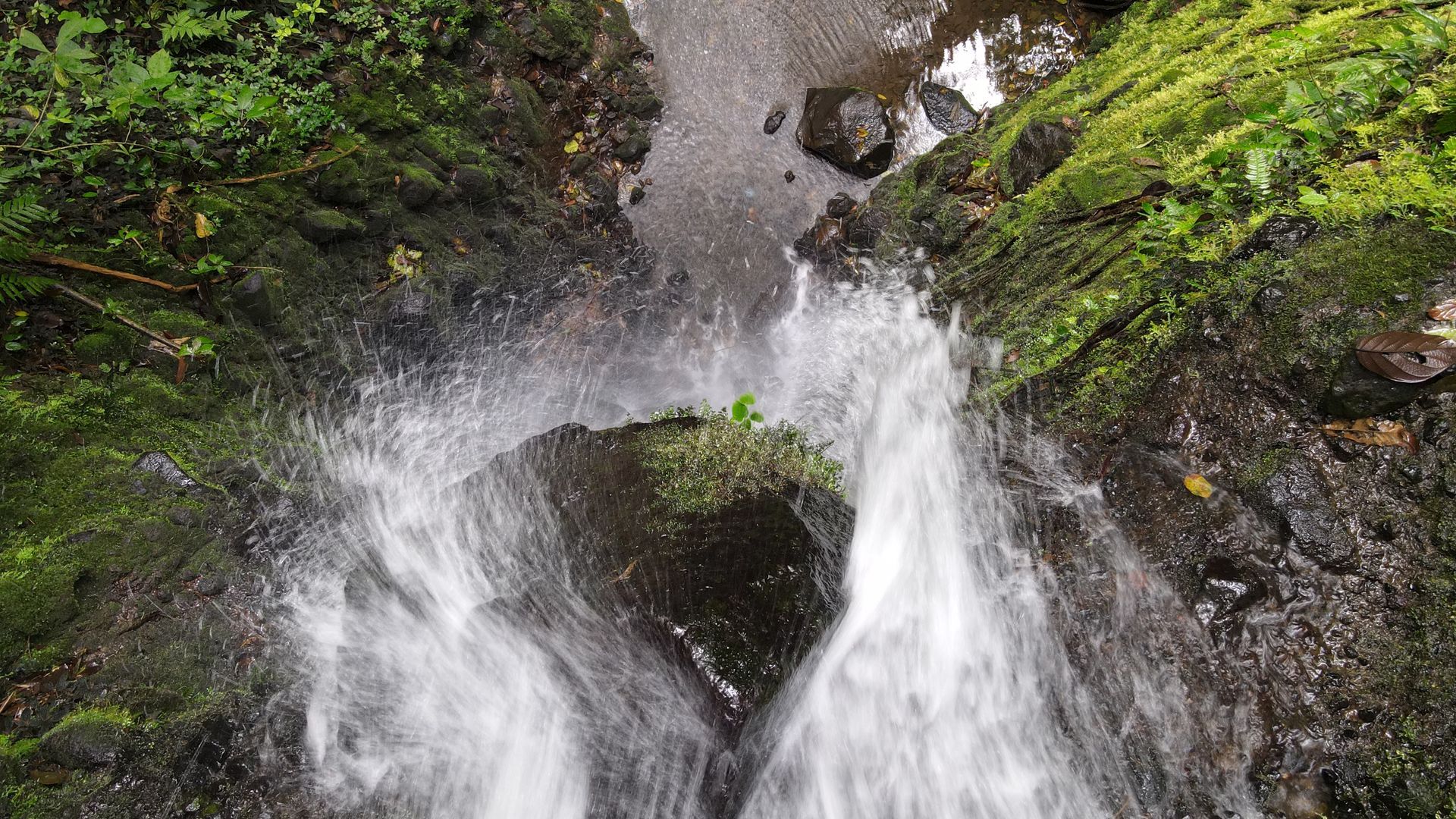 Una pequeña cascada está rodeada de musgo y rocas en el bosque.