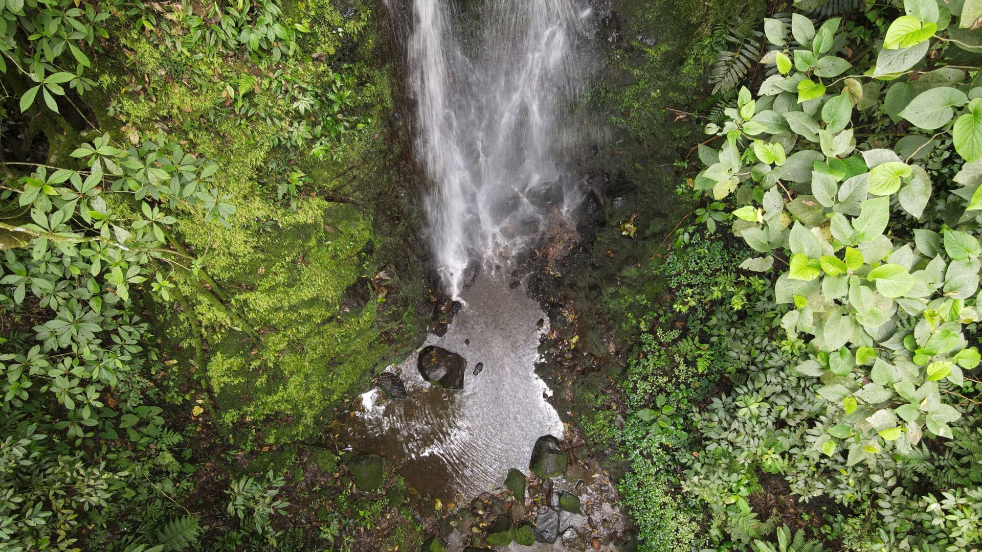 Una vista aérea de una cascada en medio de un exuberante bosque verde.