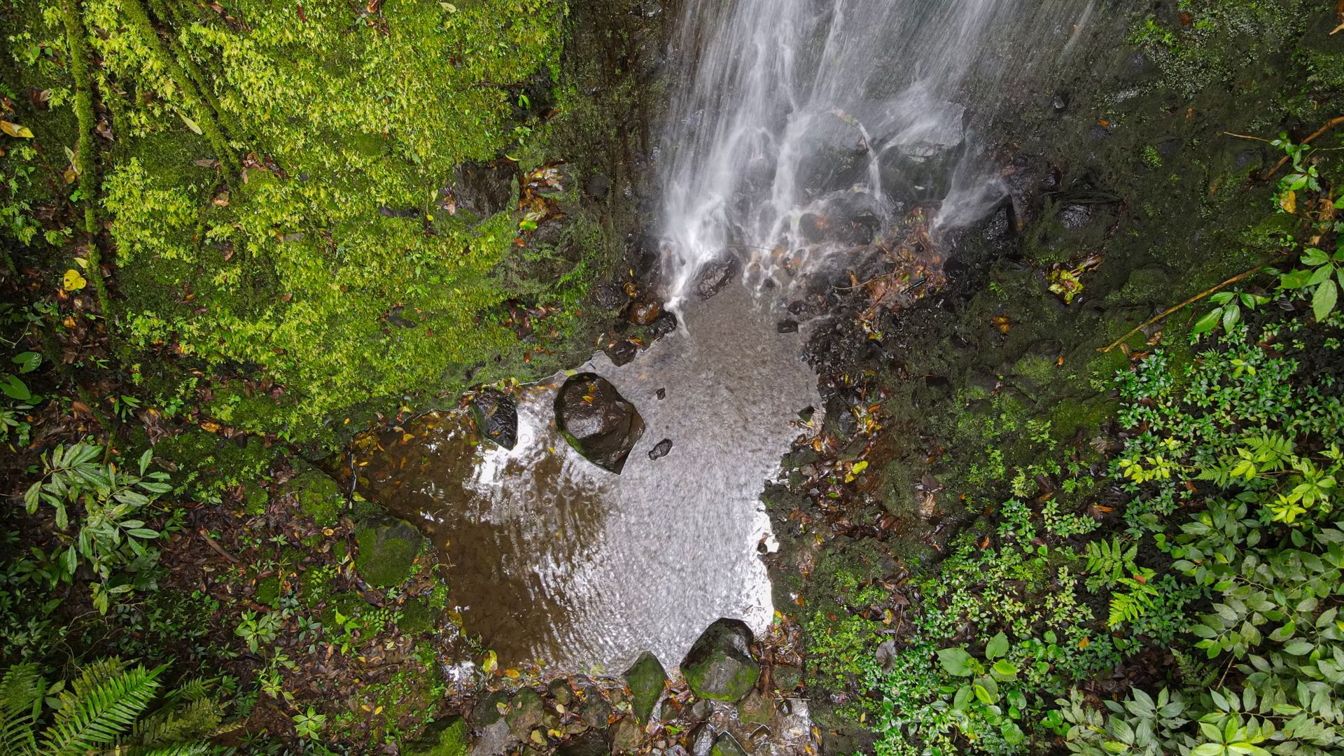 Una vista aérea de una cascada en medio de un bosque.