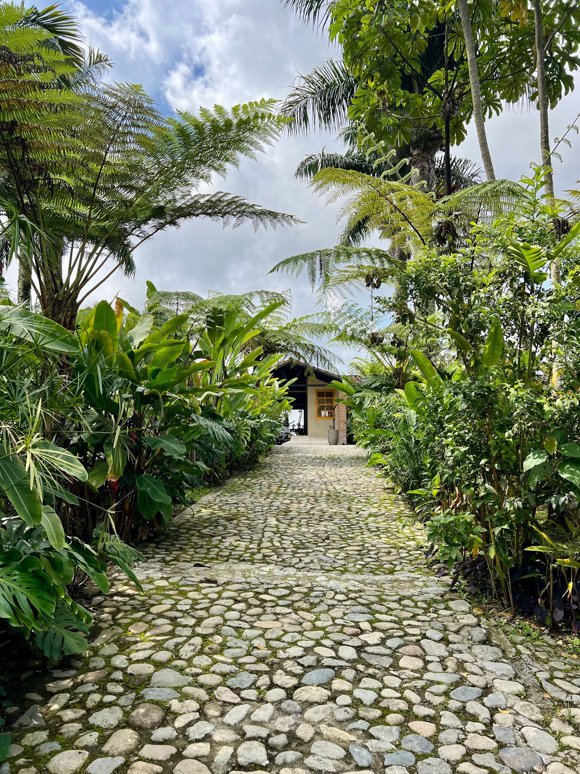 Un camino de piedra que conduce a una casa rodeada de árboles y arbustos.
