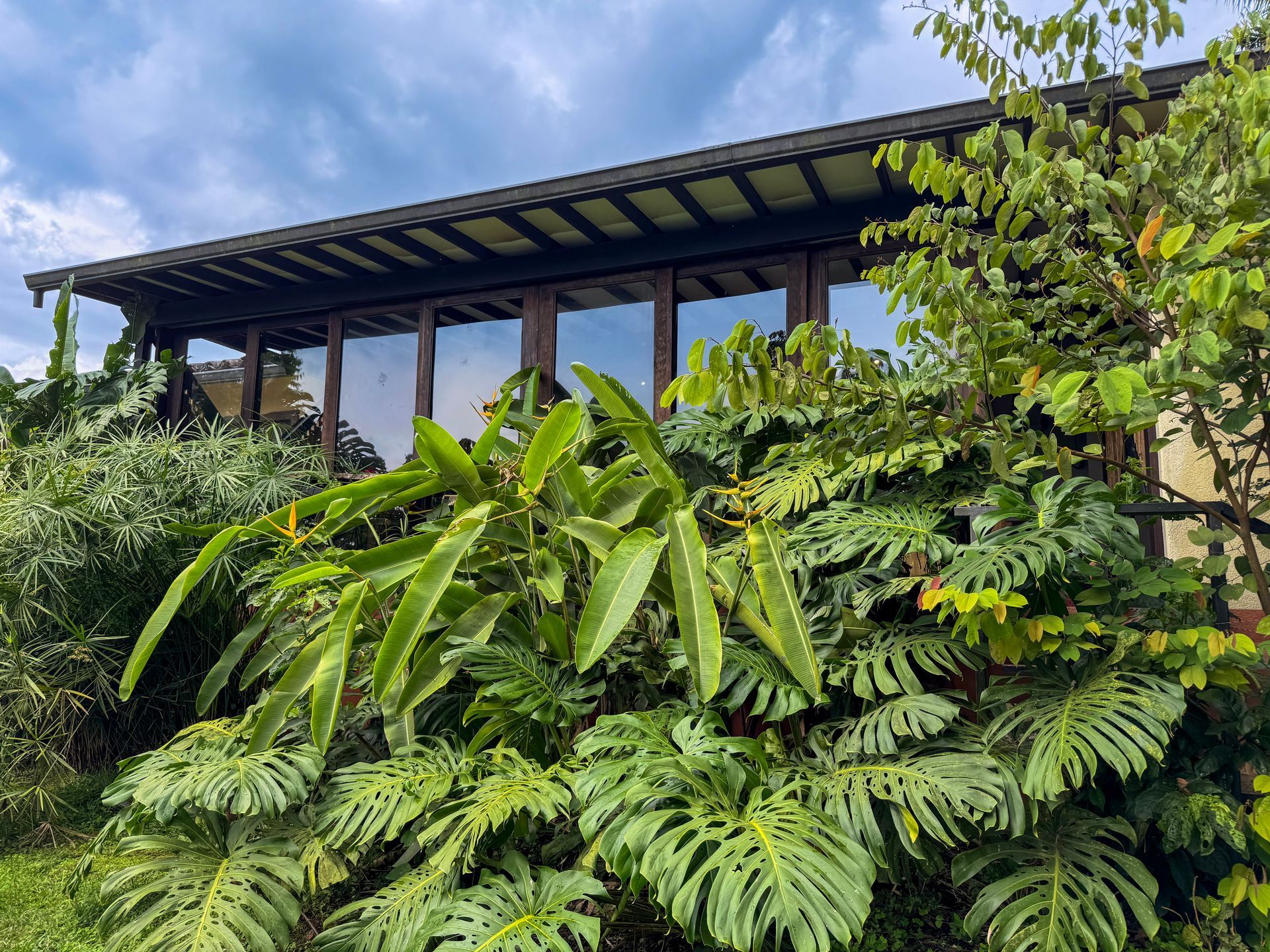 Una casa con muchas ventanas está rodeada de árboles y plantas.