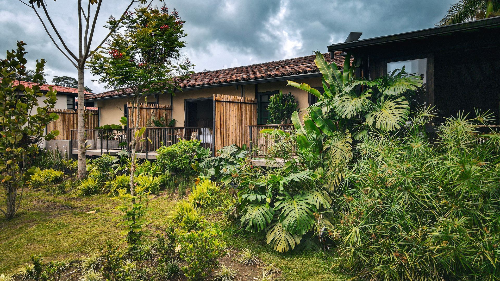 Una casa está rodeada de árboles y arbustos en un día nublado.