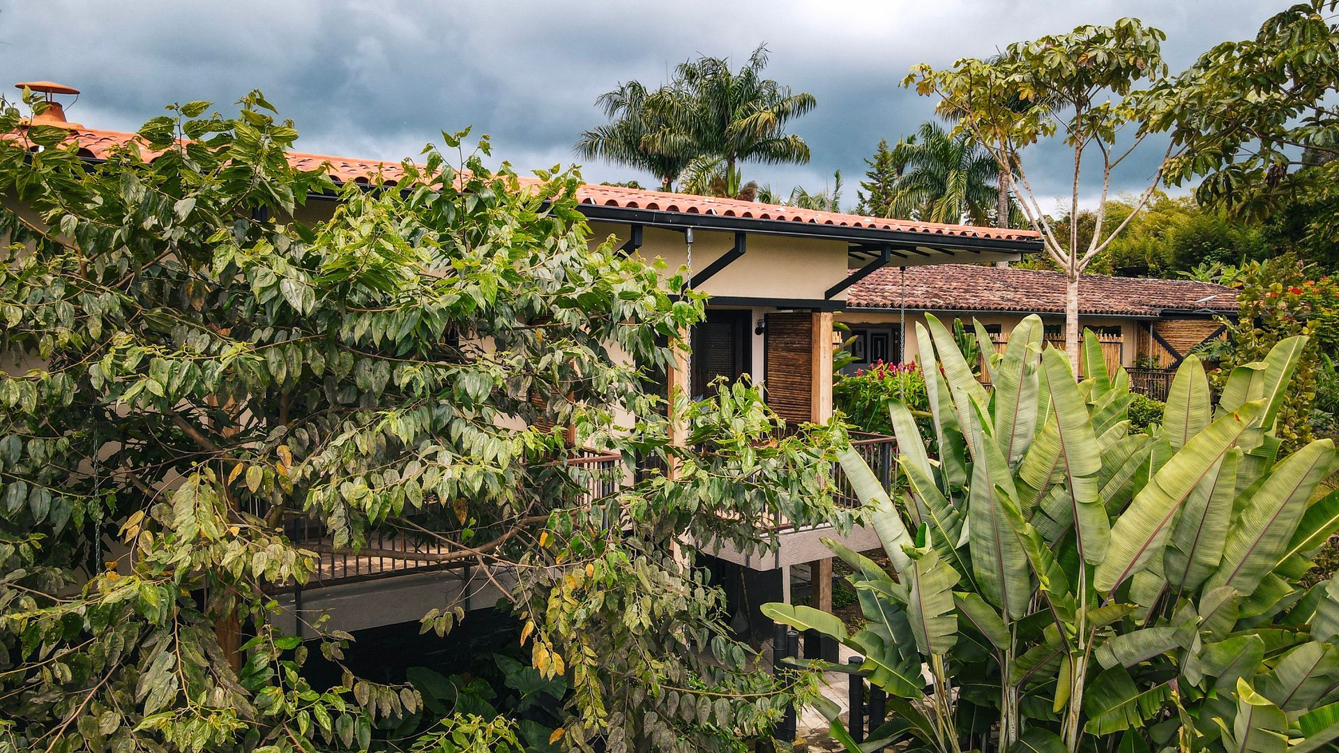 Una casa está rodeada de árboles y arbustos en un día nublado.