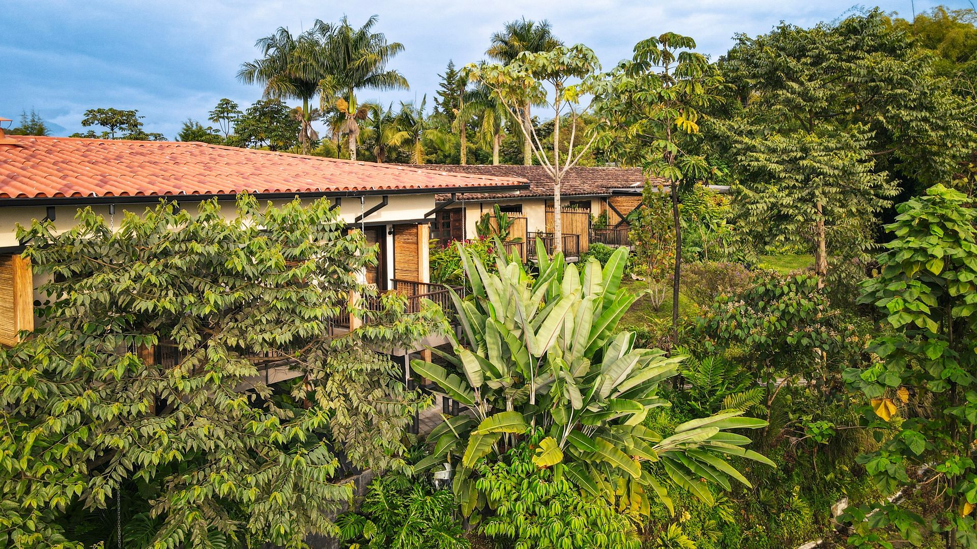 Una vista aérea de una casa rodeada de árboles y arbustos.