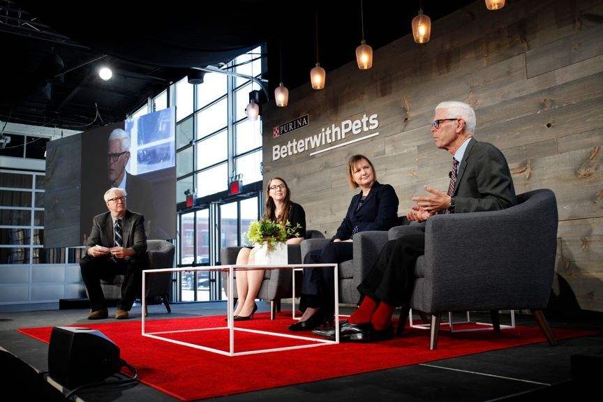 Purina Better With Pets Video Production