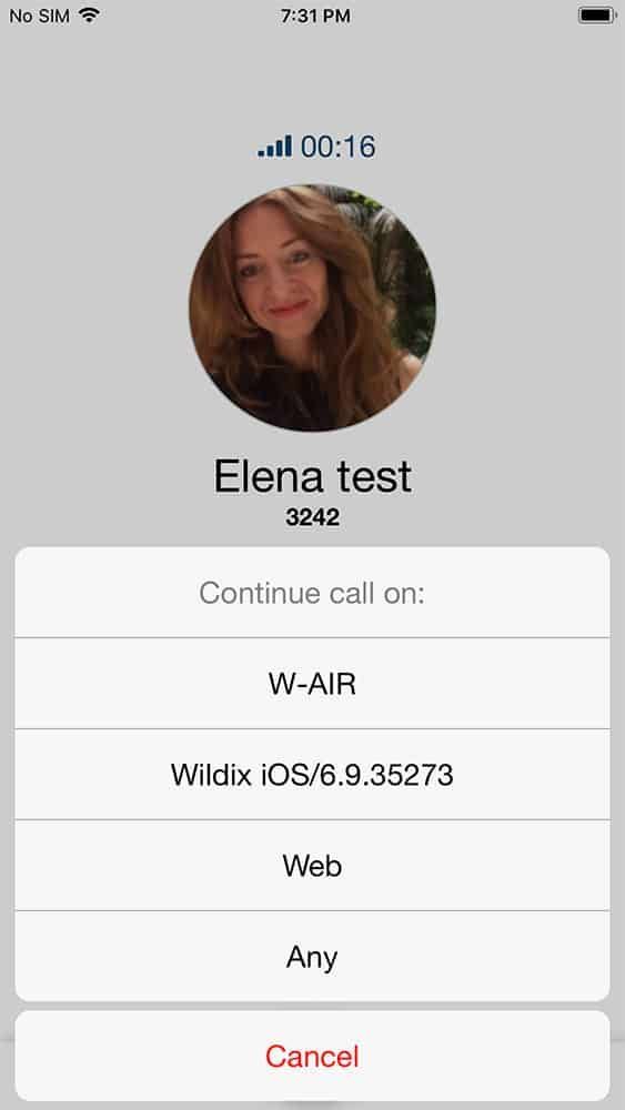 A screenshot of a phone call with elena test.