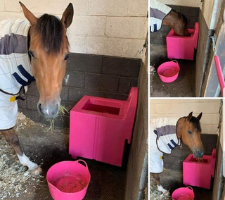 hay cube slow feeder