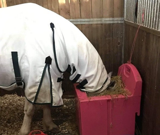 hay cube slow feeder