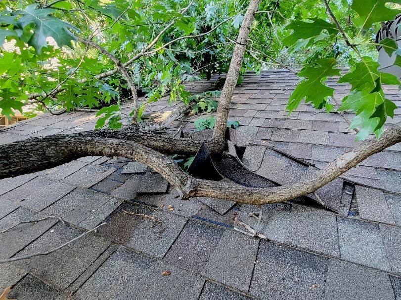 Photo of a roof damaged by a fallen tree limb.