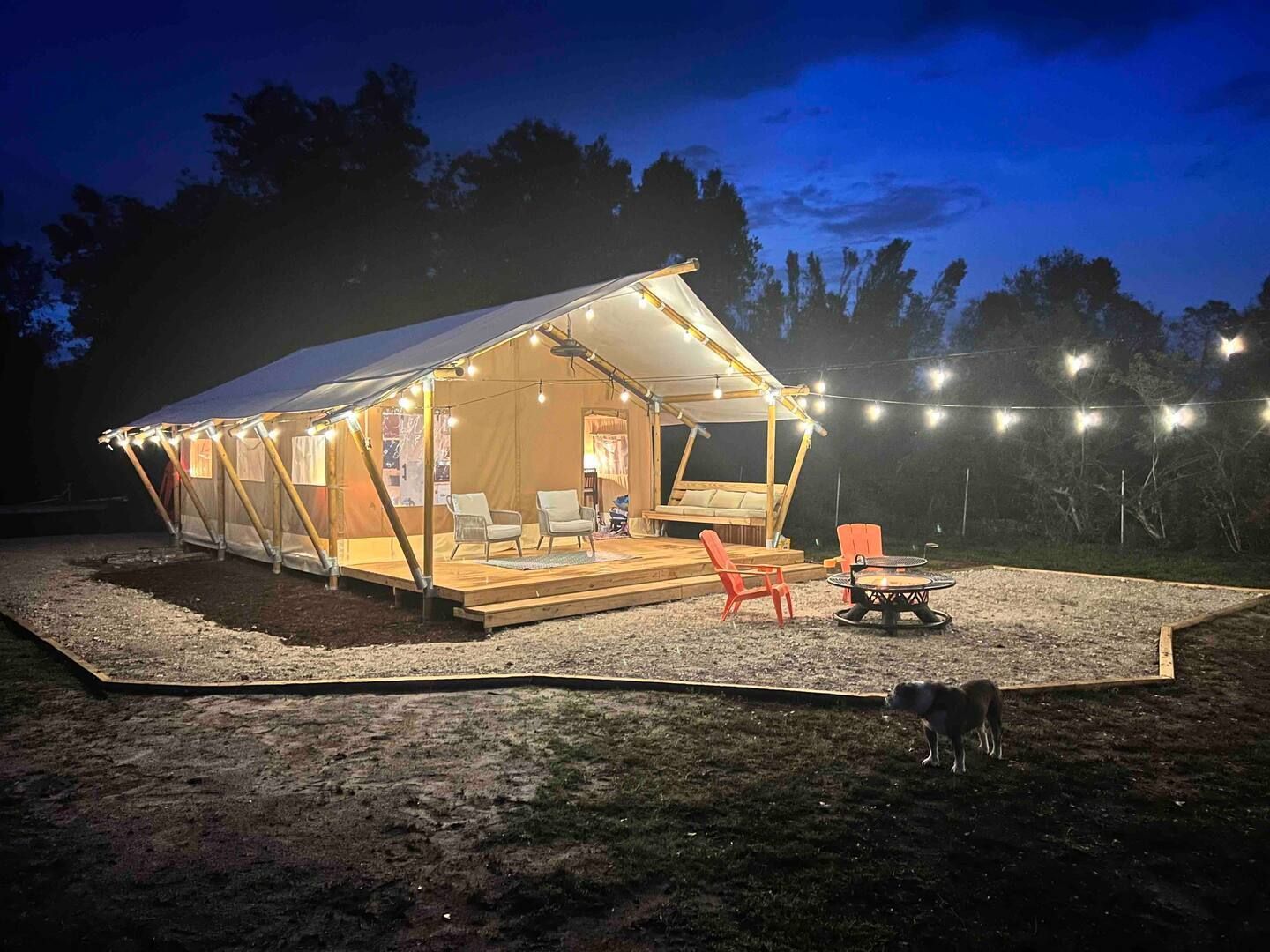 A tent is lit up at night with a dog standing in front of it.
