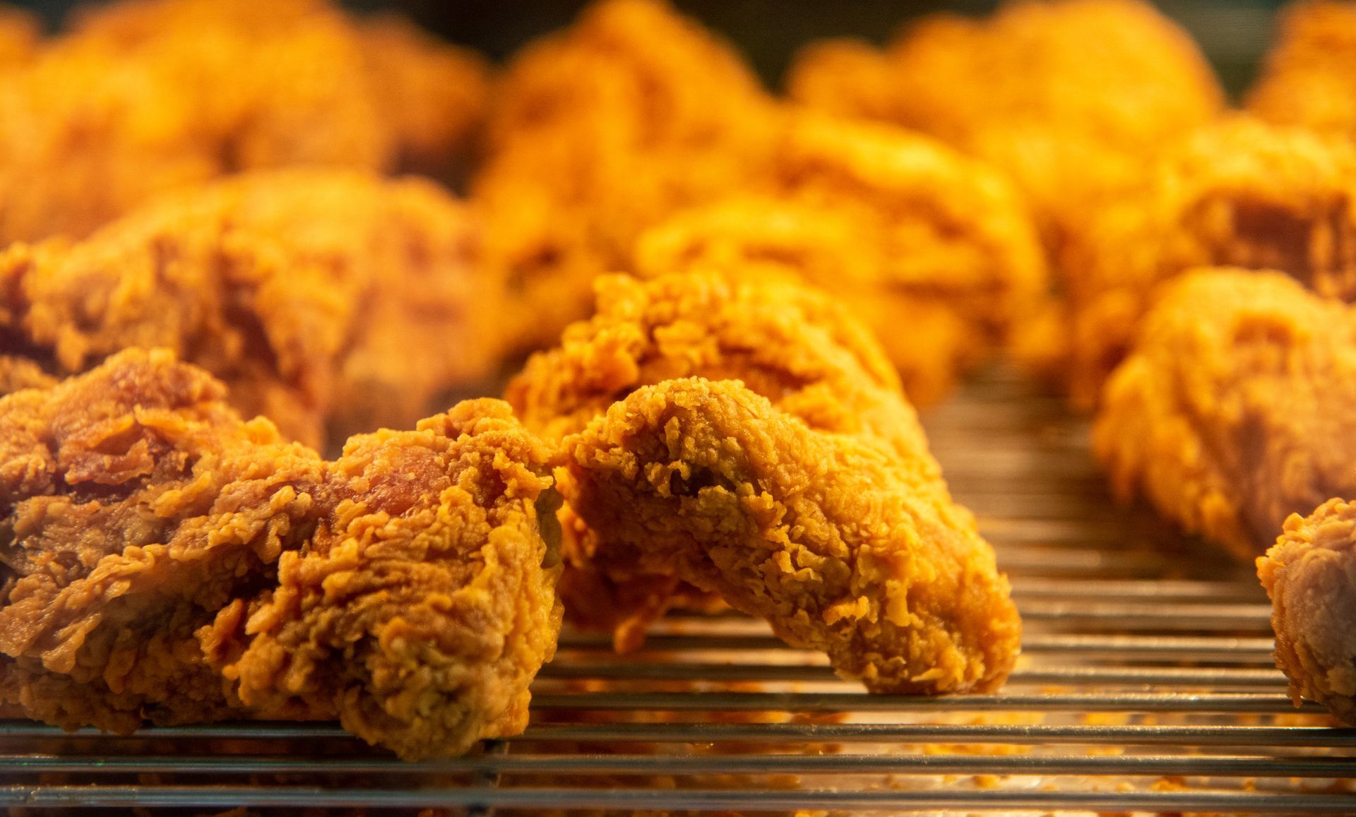 A plate of spaghetti with tomato sauce and basil on a fork.