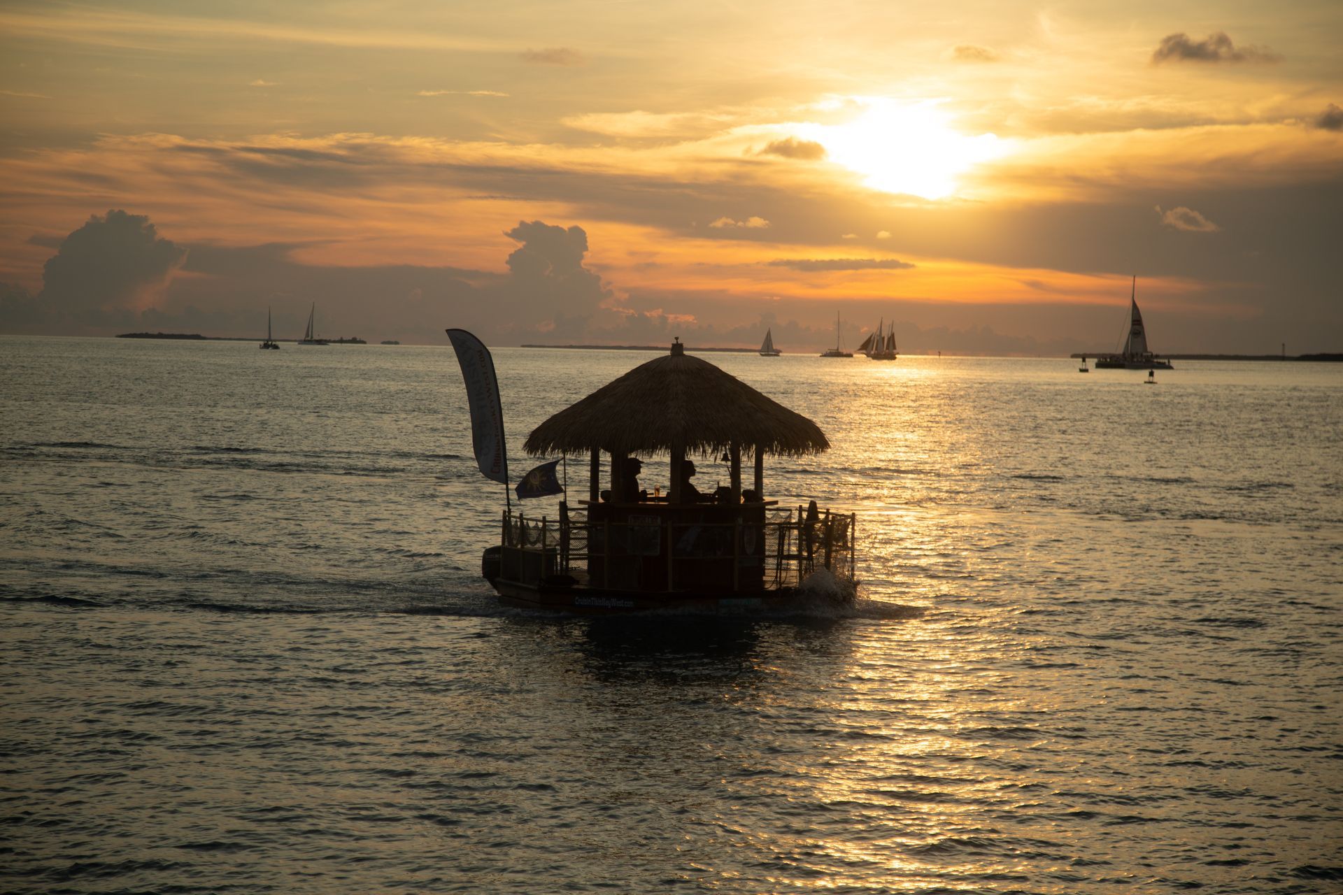A fish tank filled with lots of fish and corals.