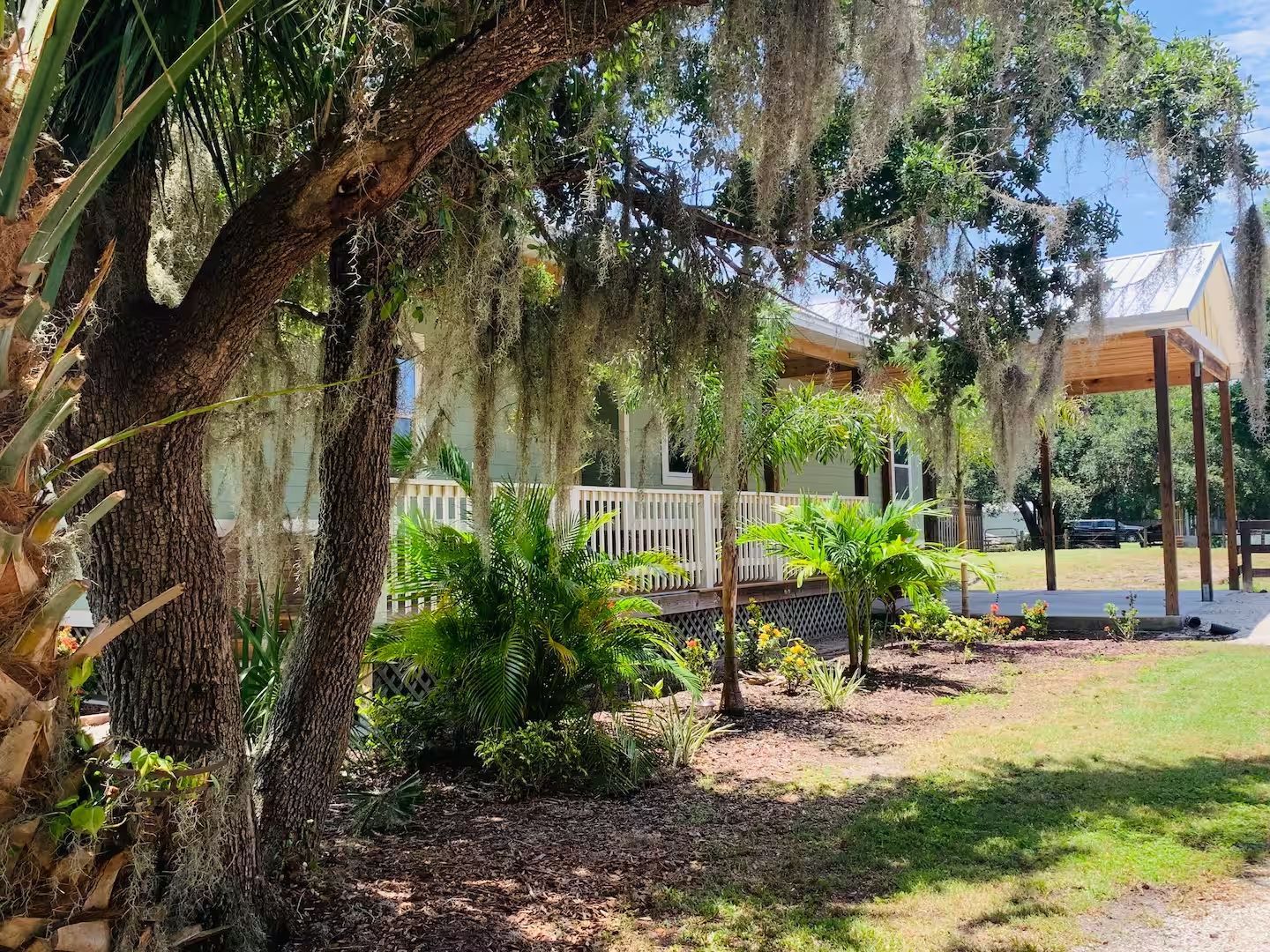 A house with spanish moss hanging from the trees in front of it.